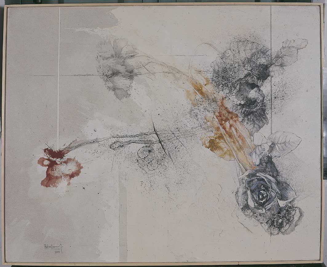 Metamorfosis