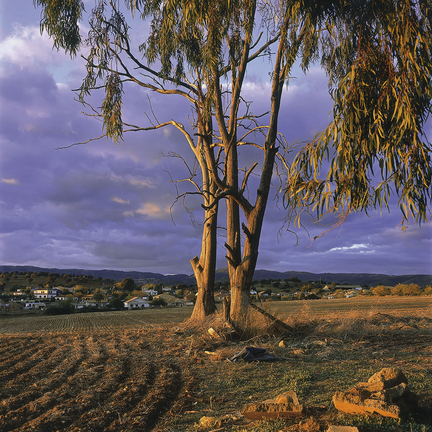 Campo abierto