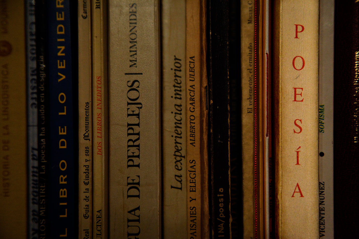 Si abro un libro es porque ya he cerrado un hombre.  Una lectura nueva de lo caduco es la máxima vanguardia.  Los langostinos no invitan a leer a Kant.
