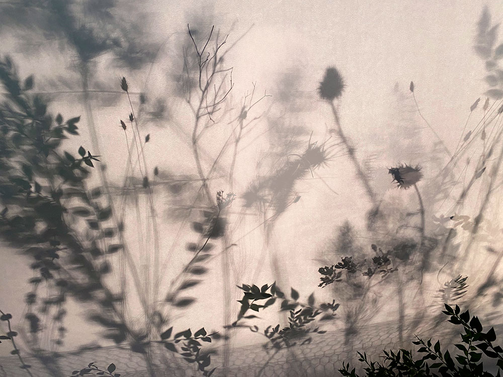 Arte Fértil
