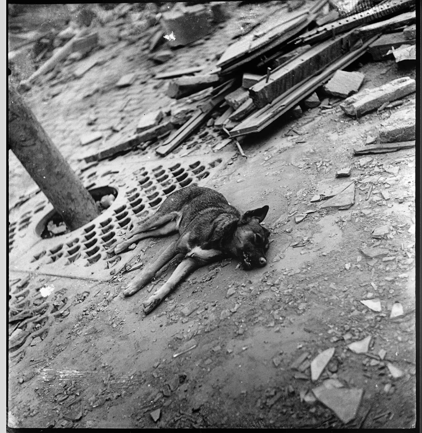 Calle Cortés, Barcelona. Bombardeo de Marzo de 1938