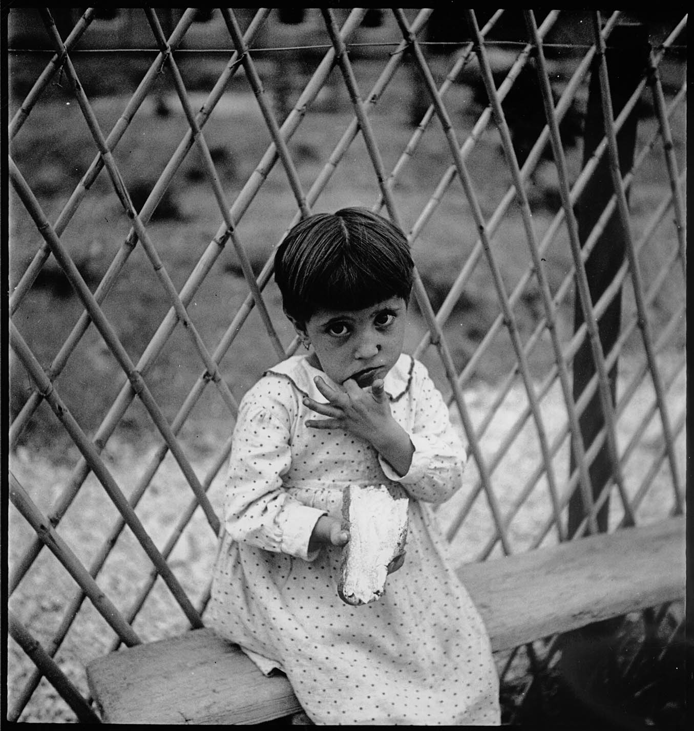 Niños de Madrid. Septiembre de 1937