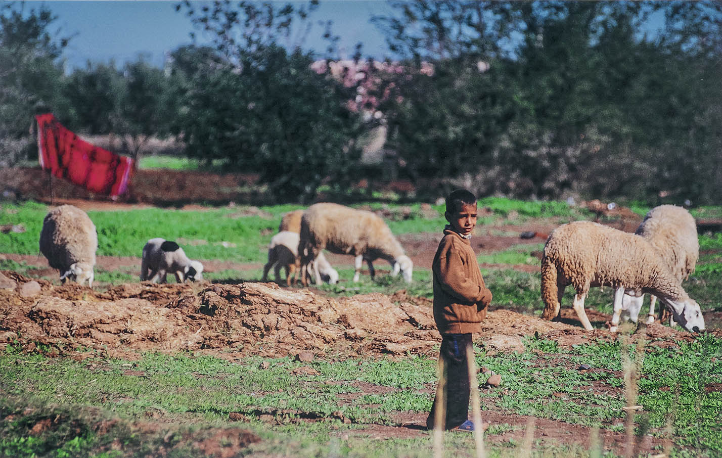 Marruecos